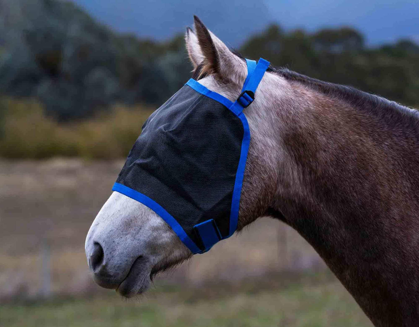 Caribu Fly Mask