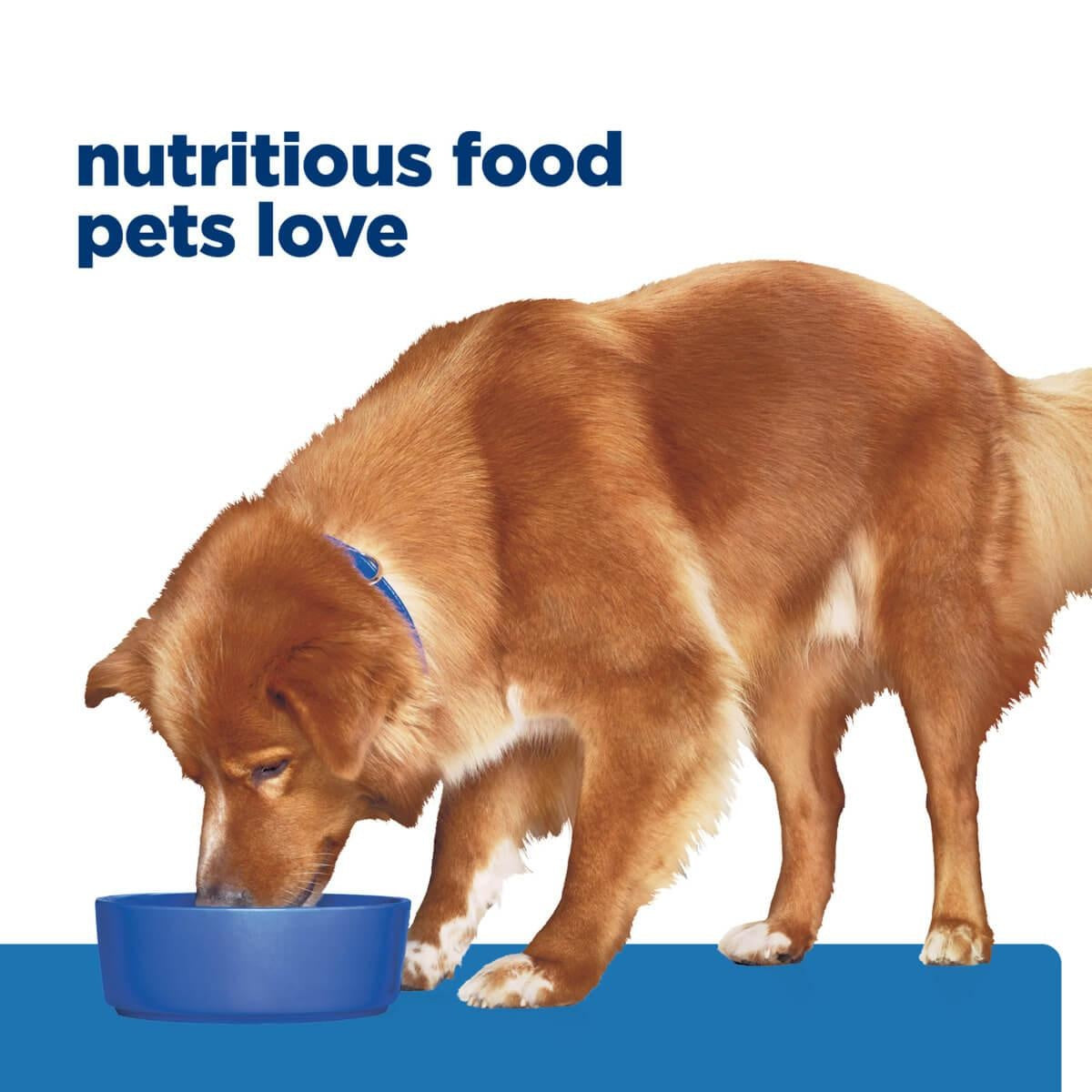 Hill's Prescription Diet Sensitive Derm Complete Dry Dog Food