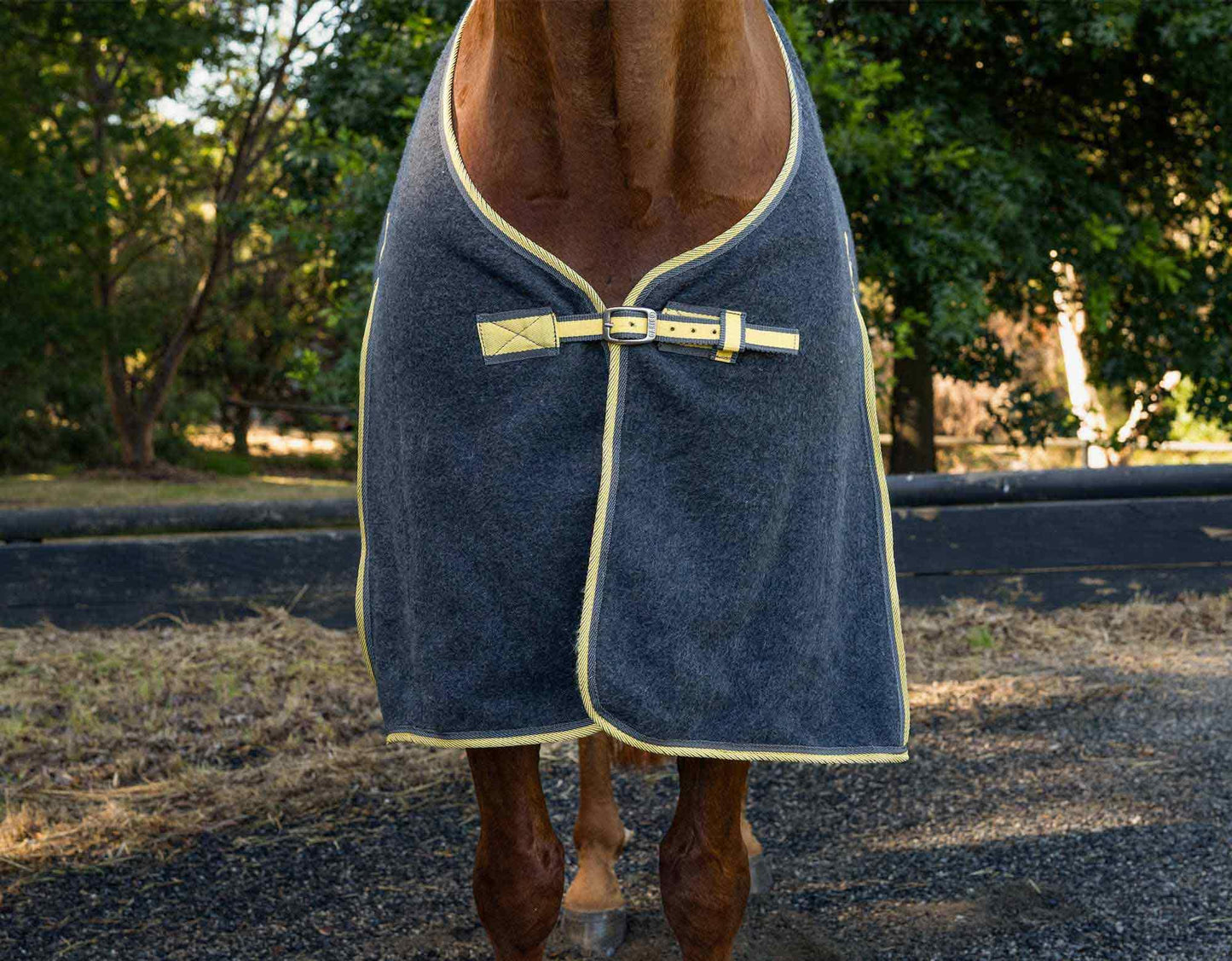 Caribu Deluxe Wool Horse Rug