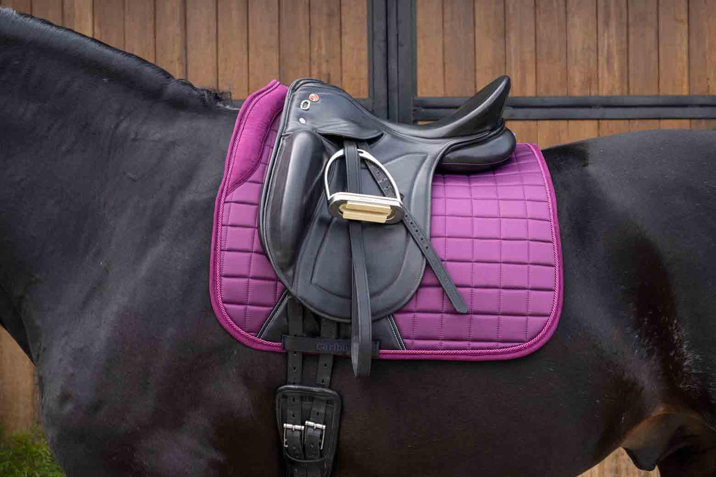 Caribu Satin Dressage Horse Saddle Pad