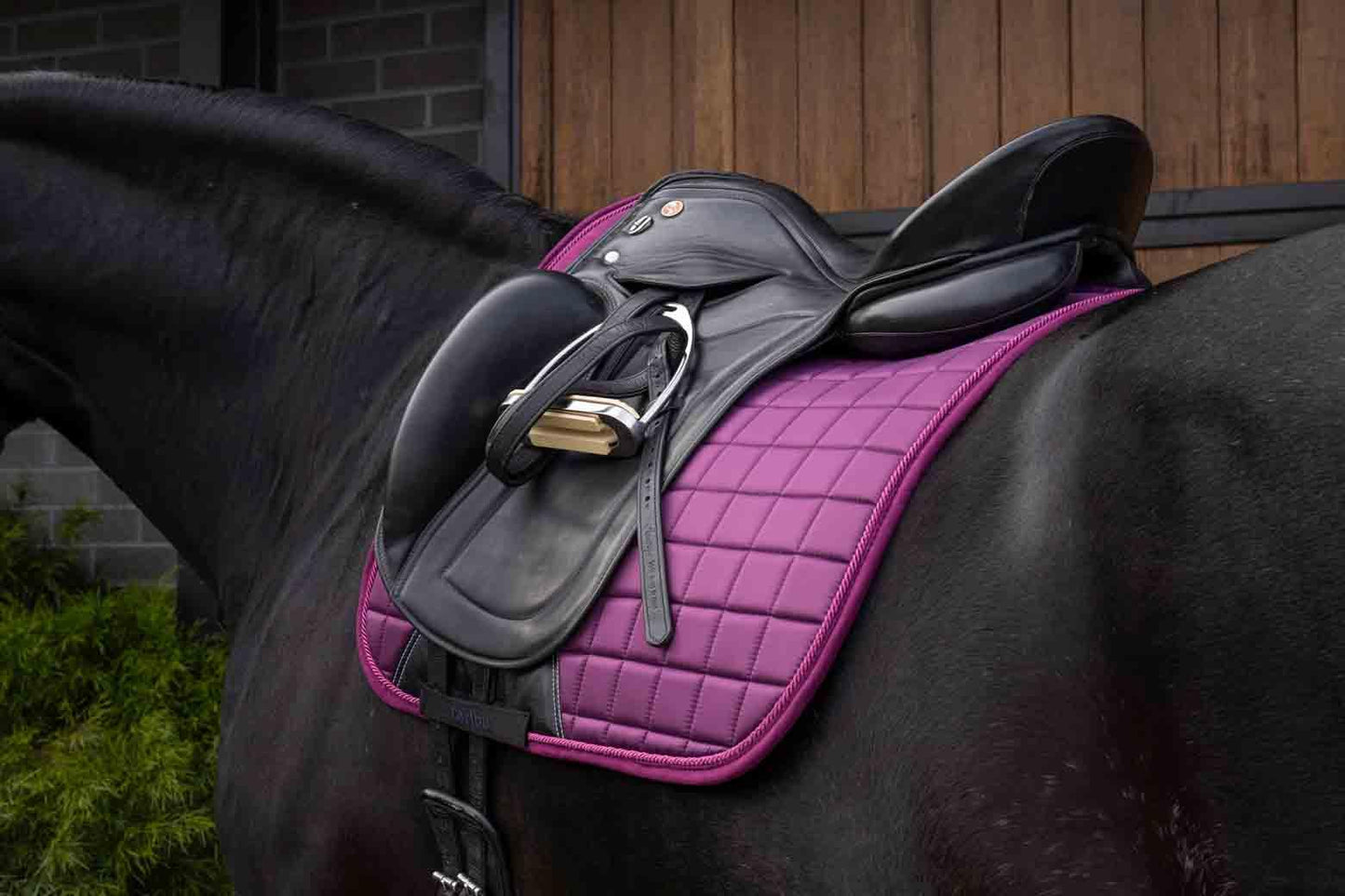 Caribu Satin Dressage Horse Saddle Pad