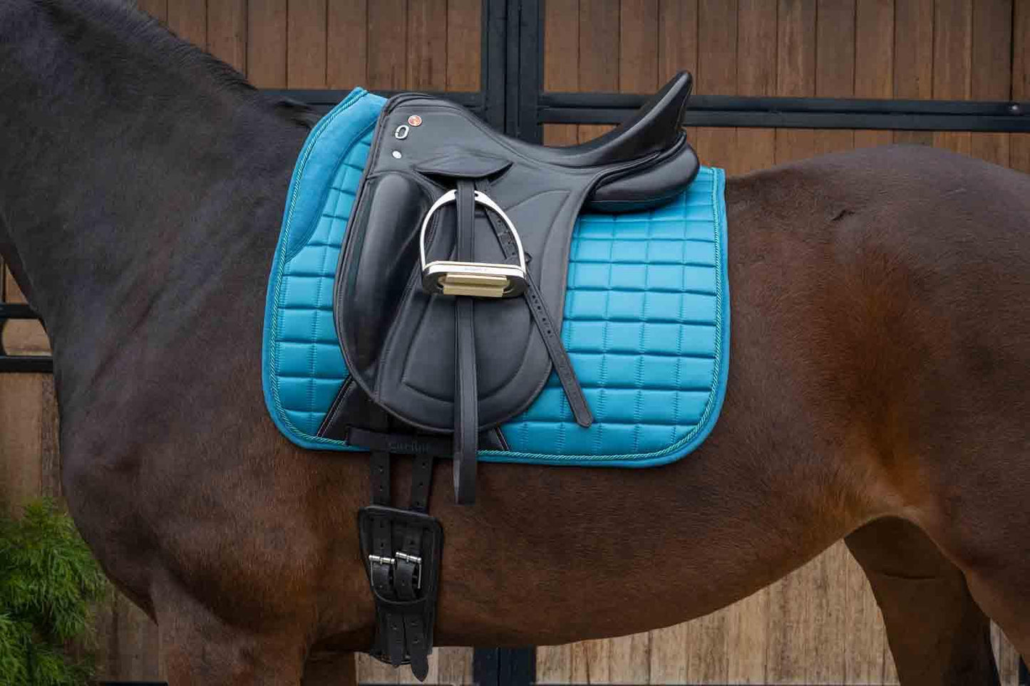 Caribu Satin Dressage Horse Saddle Pad