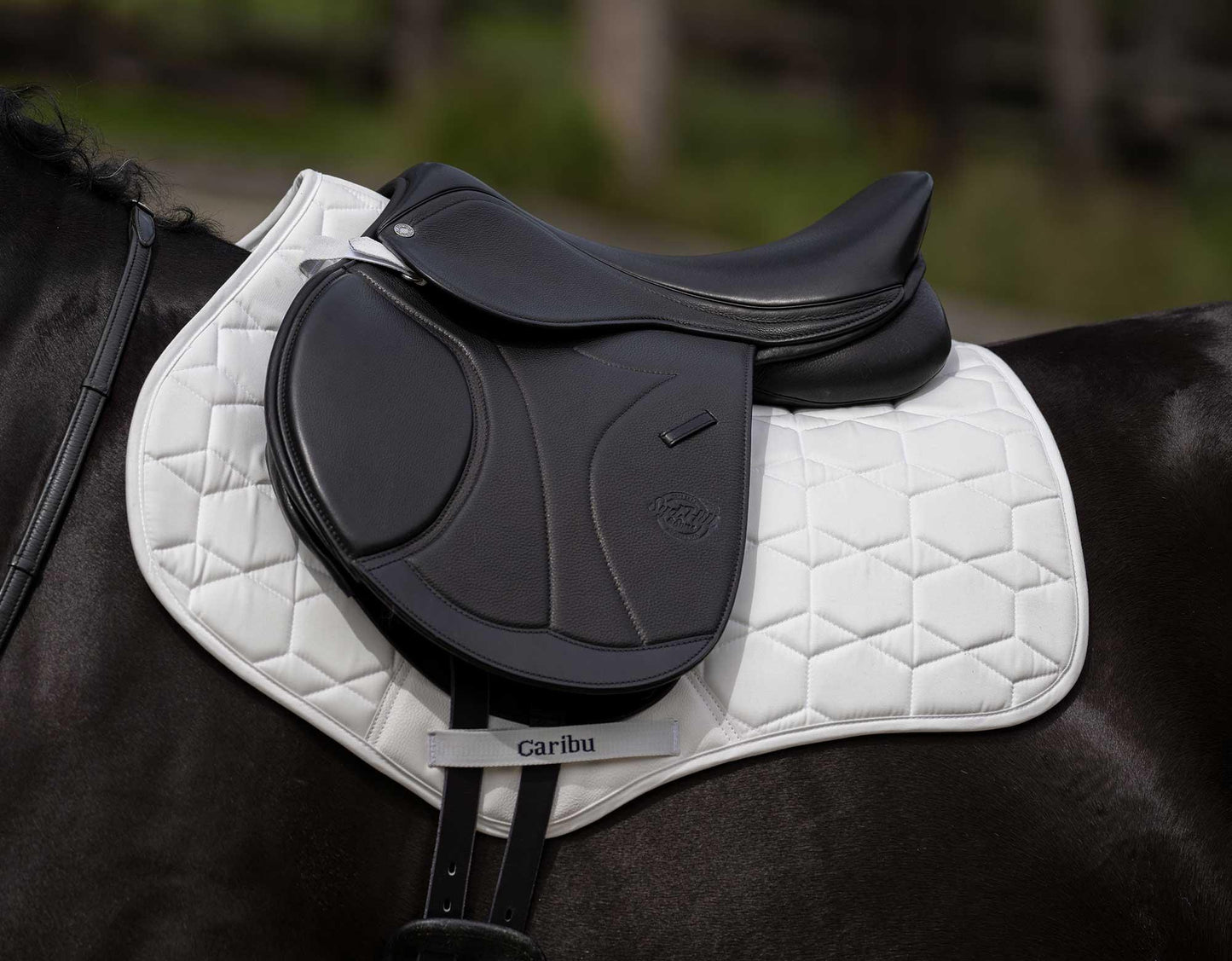 CARIBU Cotton Jump Saddle Pad