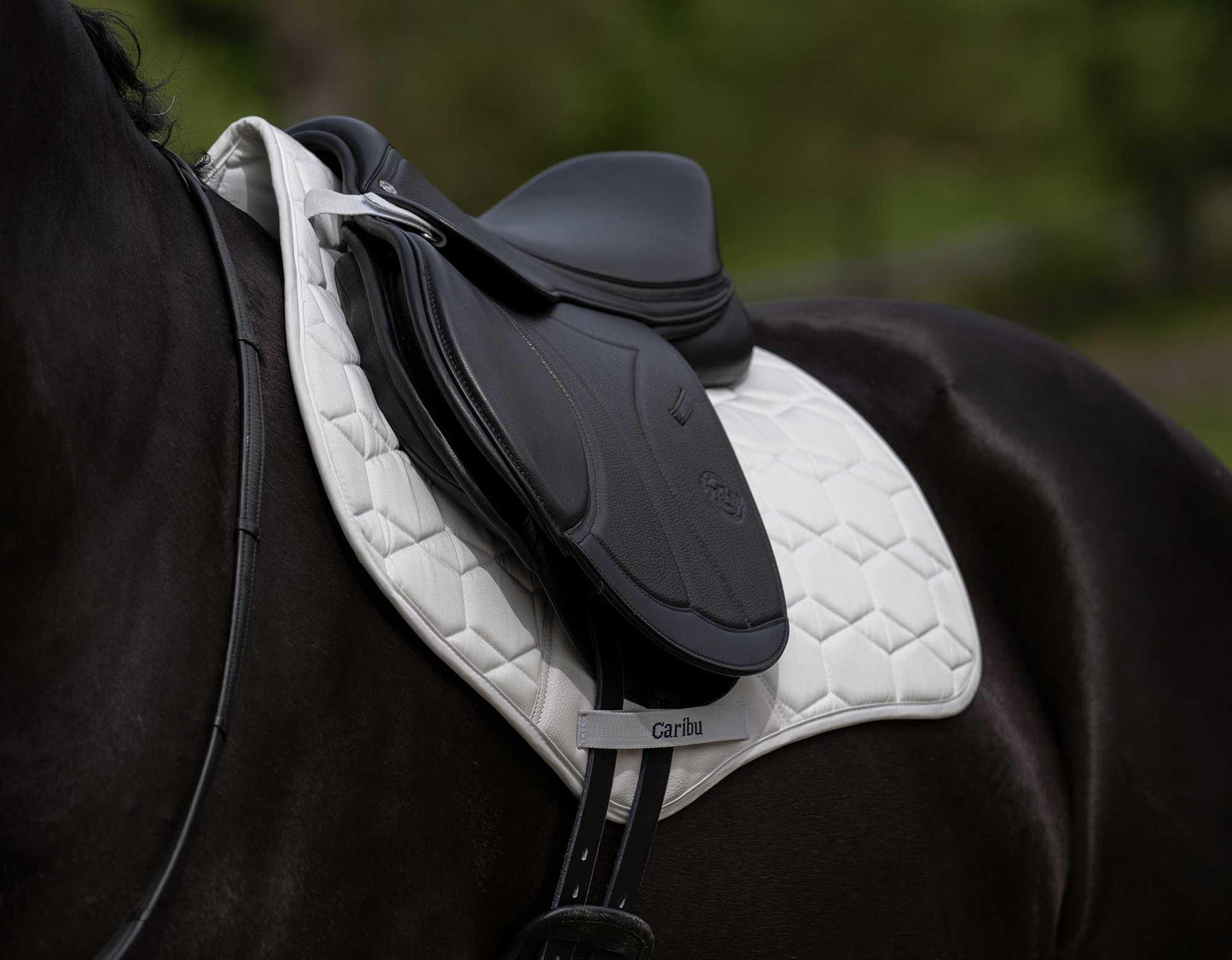 CARIBU Cotton Jump Saddle Pad