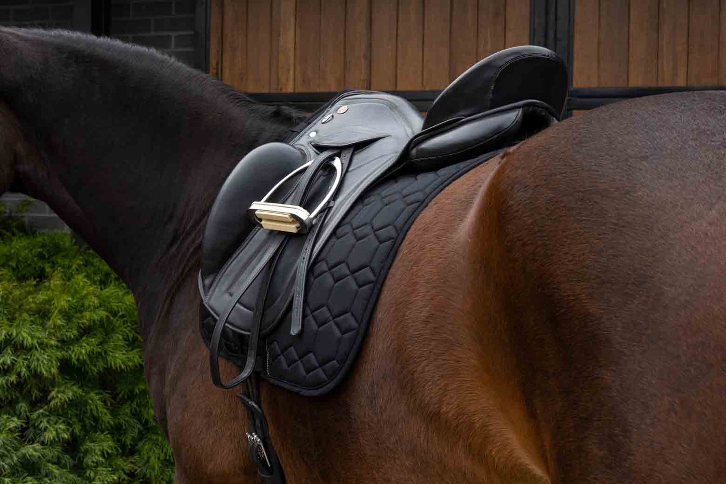 Caribu Dressage Saddle Pad
