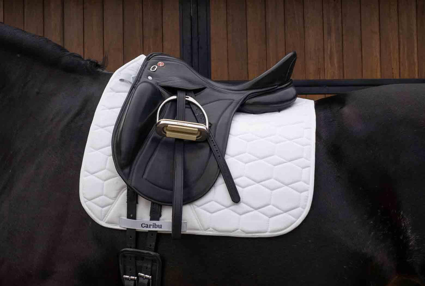 Caribu Dressage Saddle Pad
