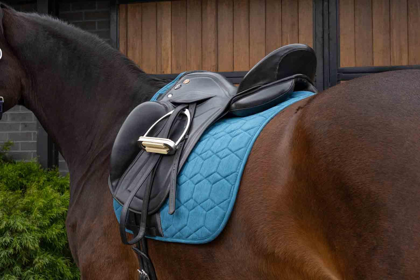 Caribu Dressage Saddle Pad