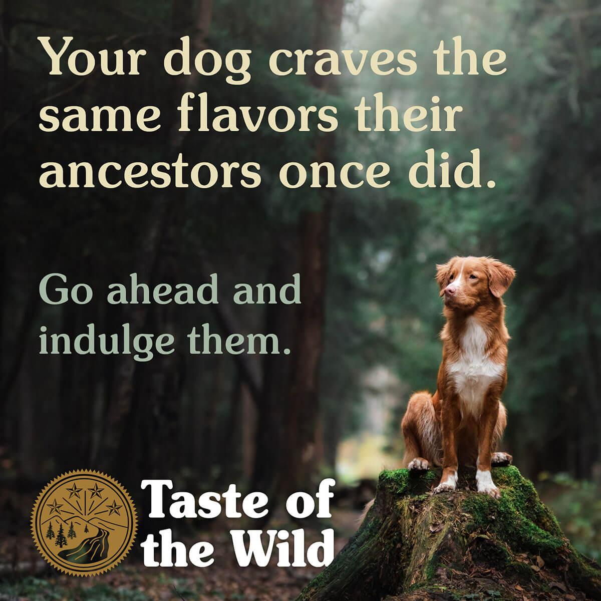 Taste of the Wild Sierra Mountain Roasted Lamb Dry Dog Food