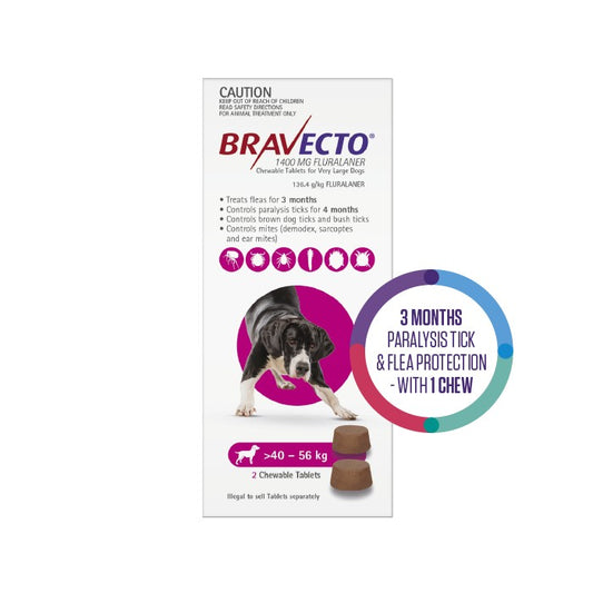 BRAVECTO Flea & Tick Chew Treatment 40-56kg Dog