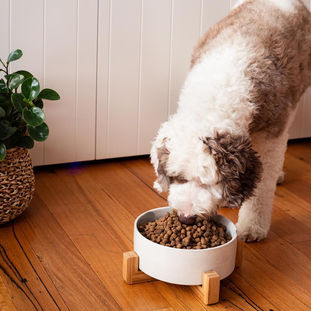 Buddy & Belle Ceramic Marble Dog Bowl