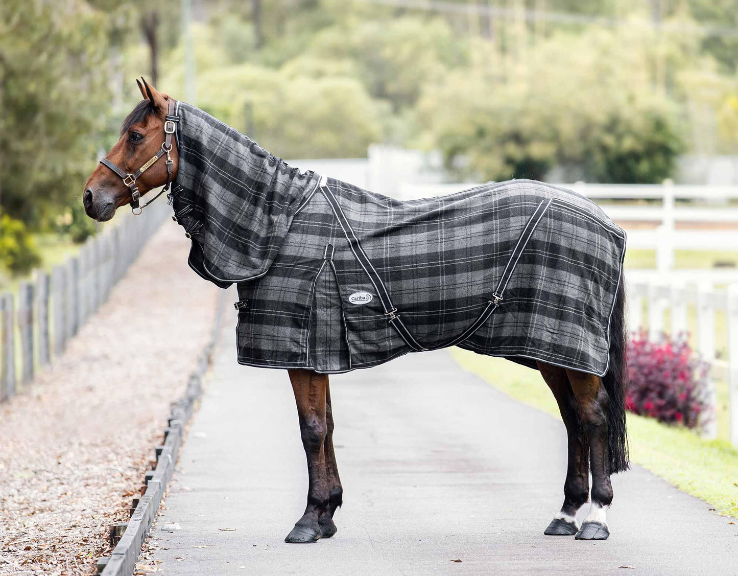 Caribu Combo Wool Horse Rug