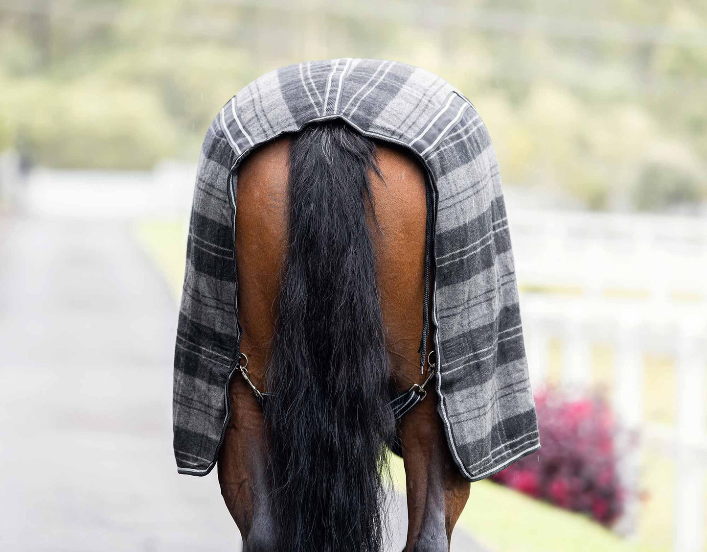 Caribu Combo Wool Horse Rug