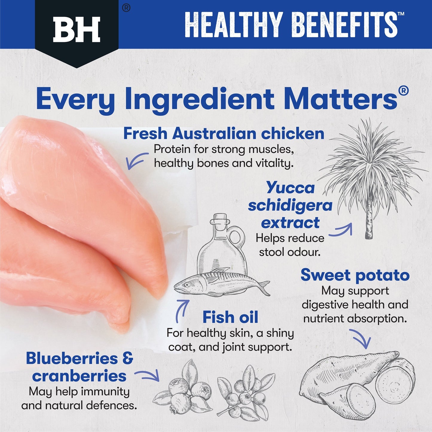 Black Hawk Healthy Benefits Dental Dry Dog Food