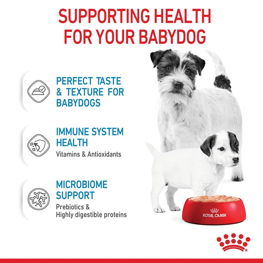 Royal Canin Mother and Babydog Mousse Dog Food Can