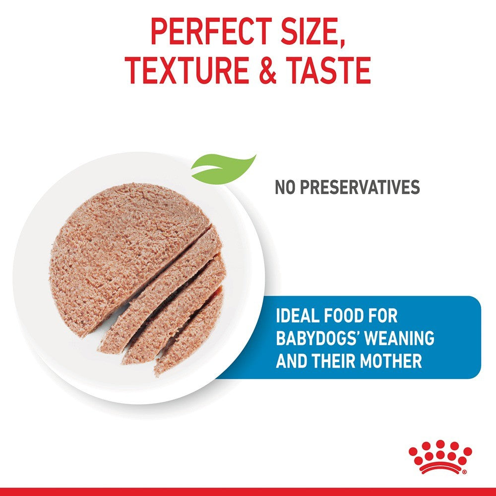 Royal Canin Mother and Babydog Mousse Dog Food Can