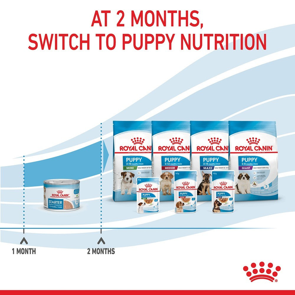 Royal Canin Mother and Babydog Mousse Dog Food Can