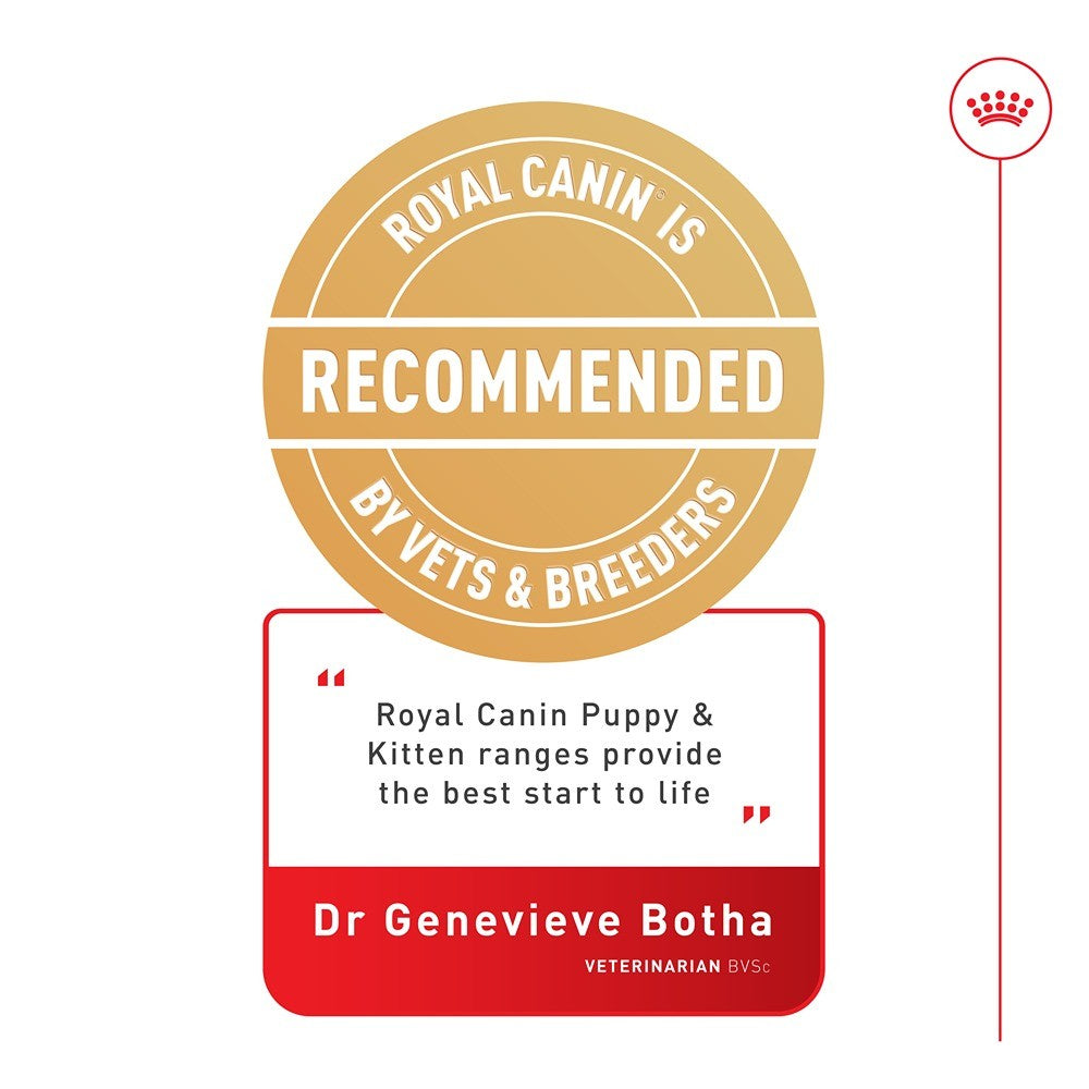 Royal Canin Mother and Babydog Mousse Dog Food Can