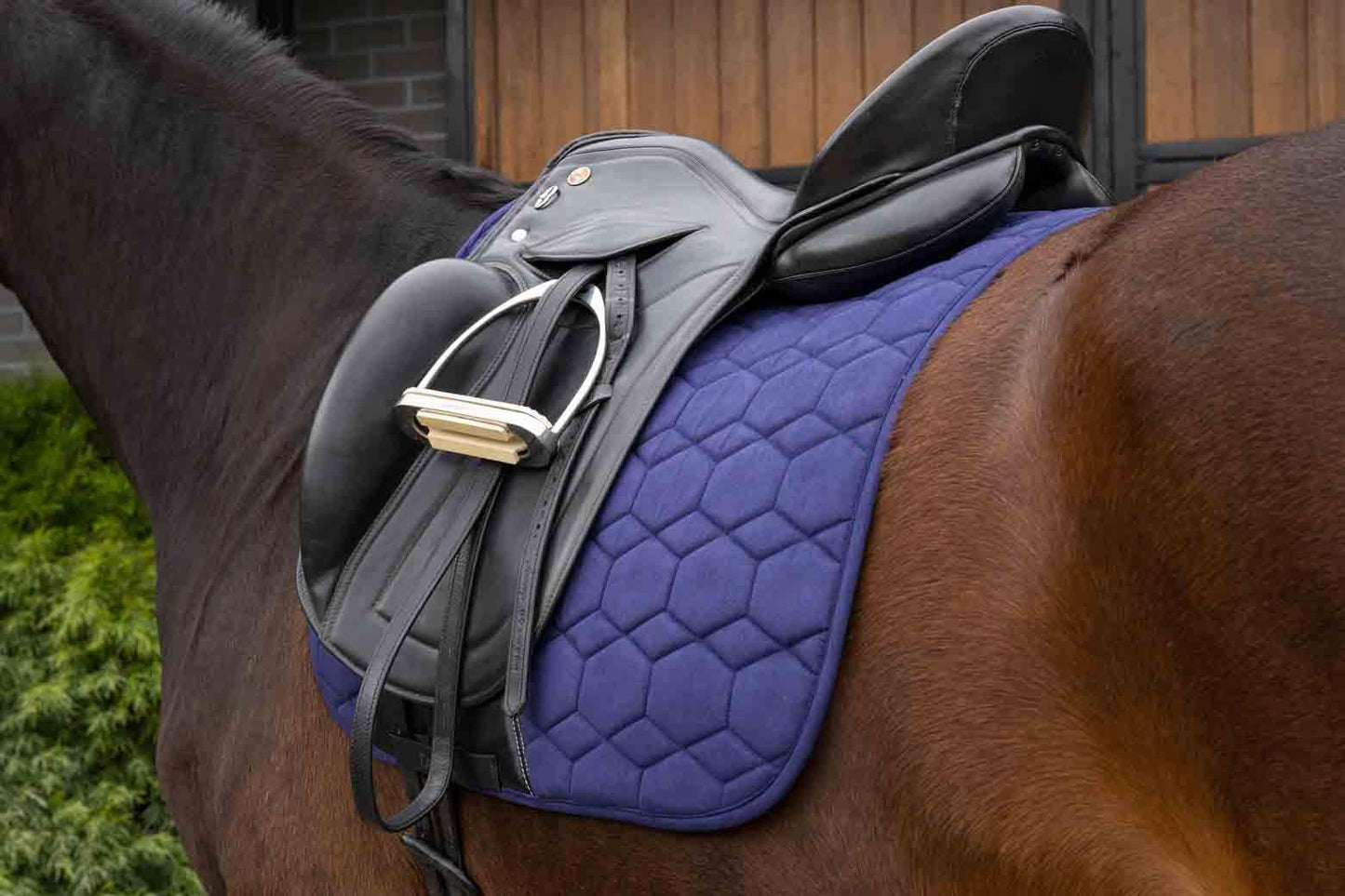 Caribu Dressage Saddle Pad