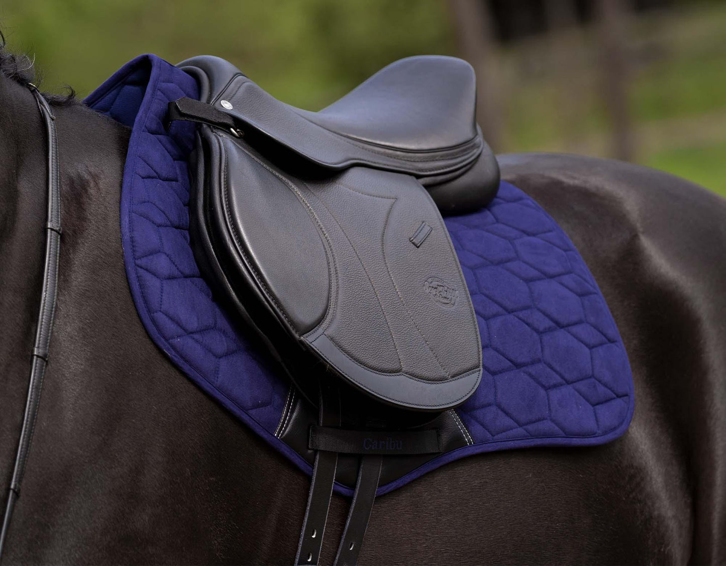 CARIBU Suede Jump Saddle Pad