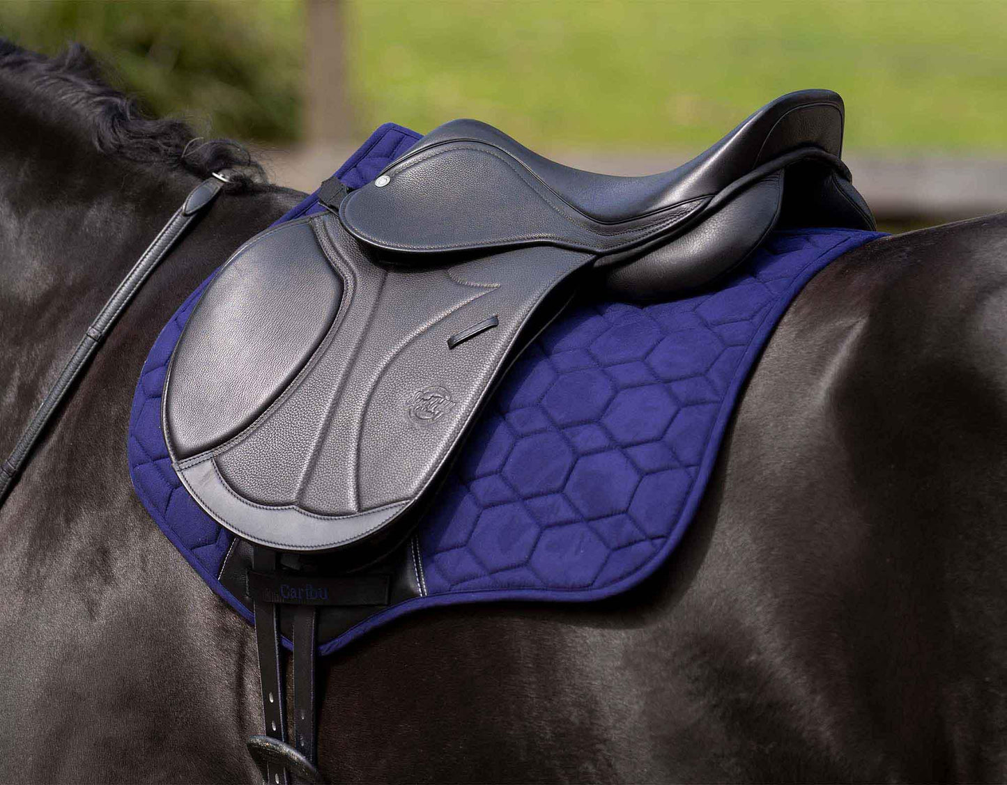 CARIBU Suede Jump Saddle Pad