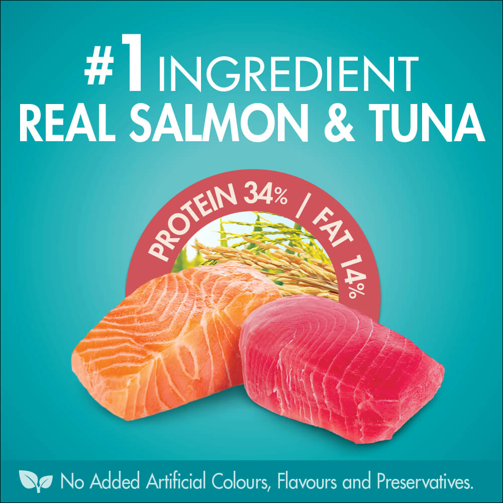 Purina One Adult Sensitive Salmon and Tuna Dry Cat Food 1.4Kg