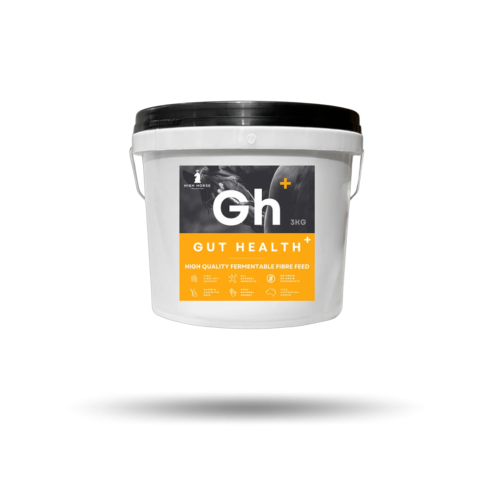 High Horse Performance Gut Health Supplement Plus