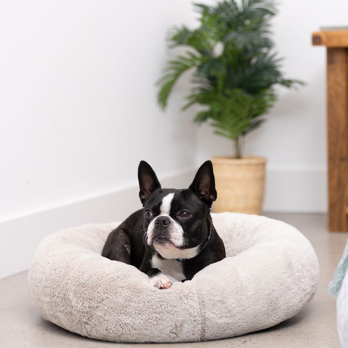 Lexi & Me Round Pet Bed