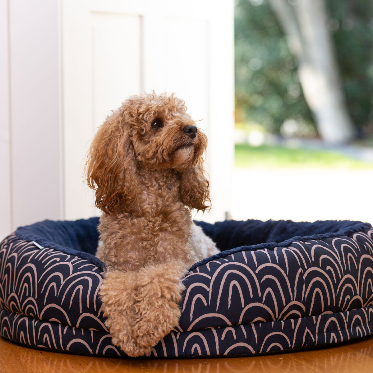 Lexi & Me Round Bolster Bed French Navy Rainbow