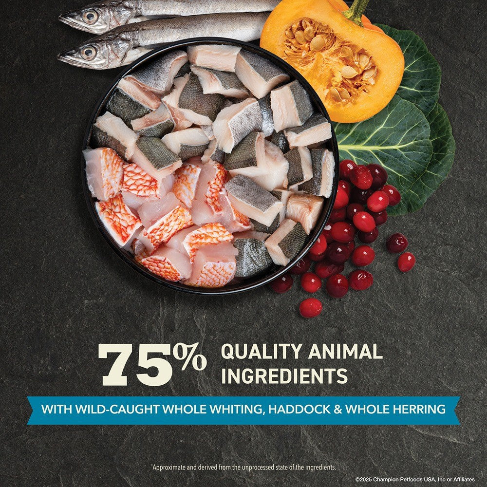 Acana Wild Atlantic Dry Adult Cat Food