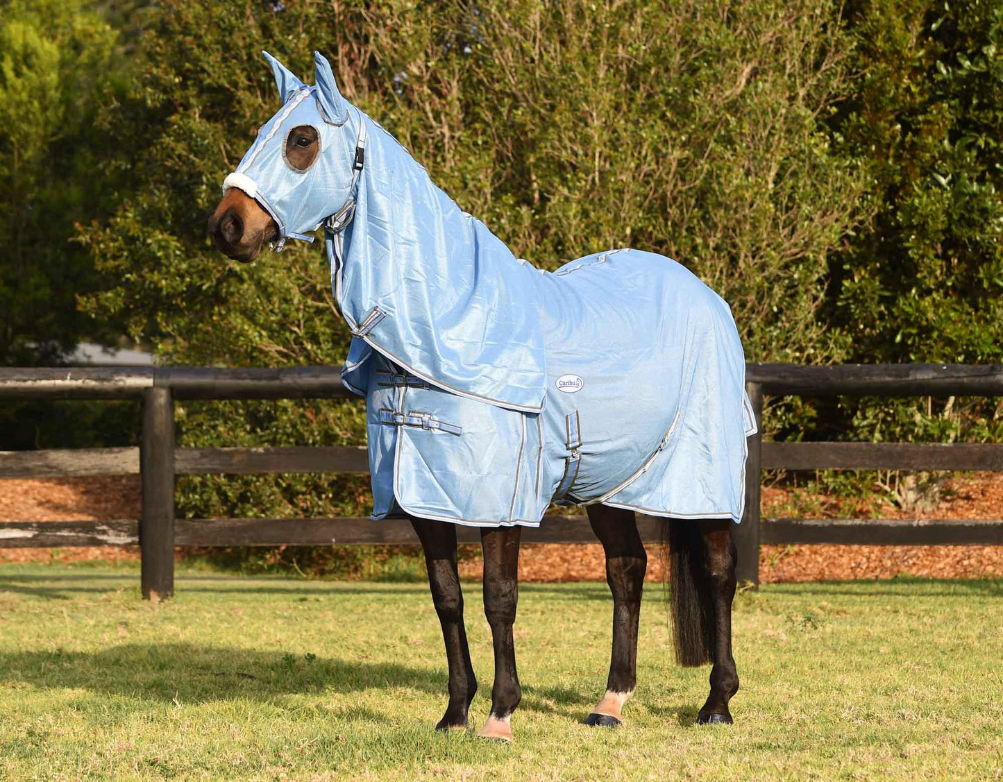 Caribu Euro Lite Mesh Hooded Combo Horse Rug