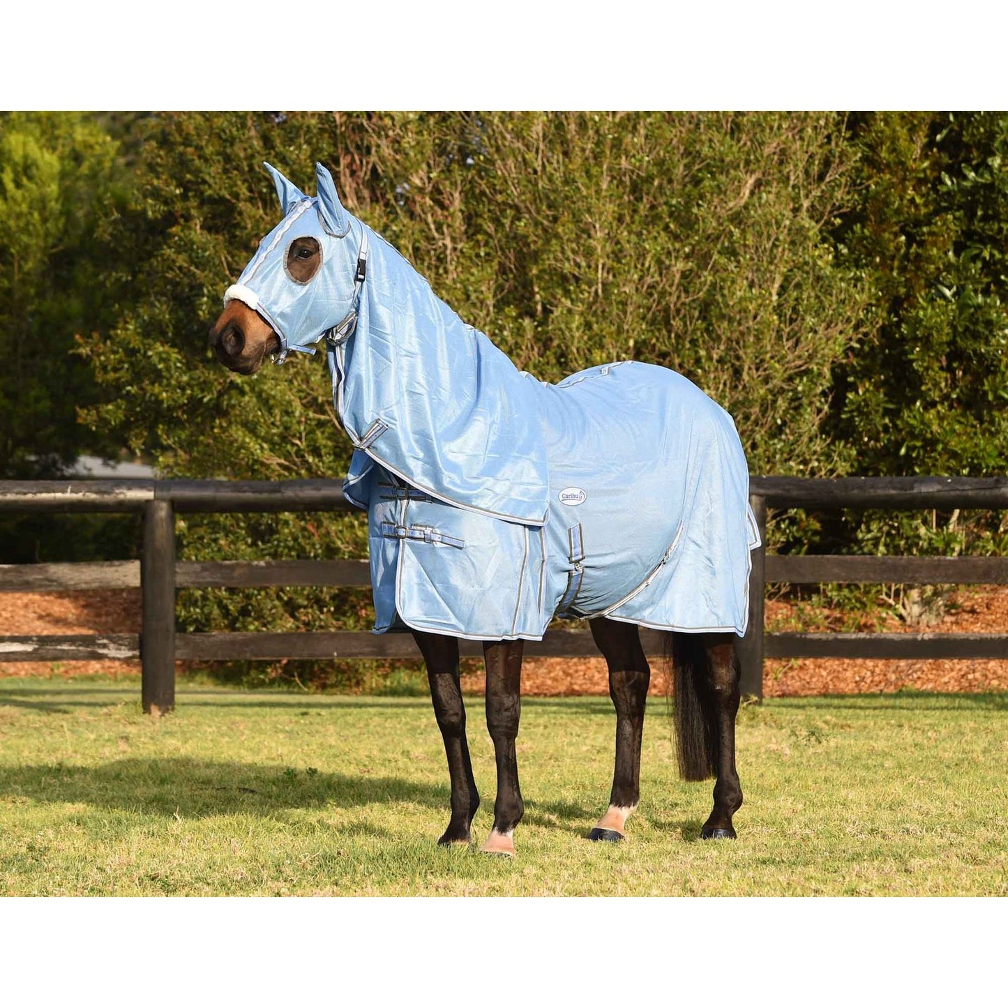 Caribu Euro Lite Mesh Hooded Combo Horse Rug