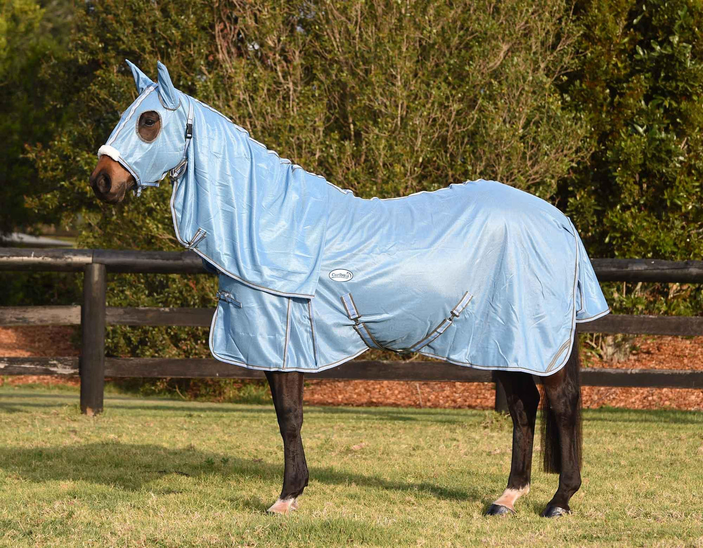 Caribu Euro Lite Mesh Hooded Combo Horse Rug