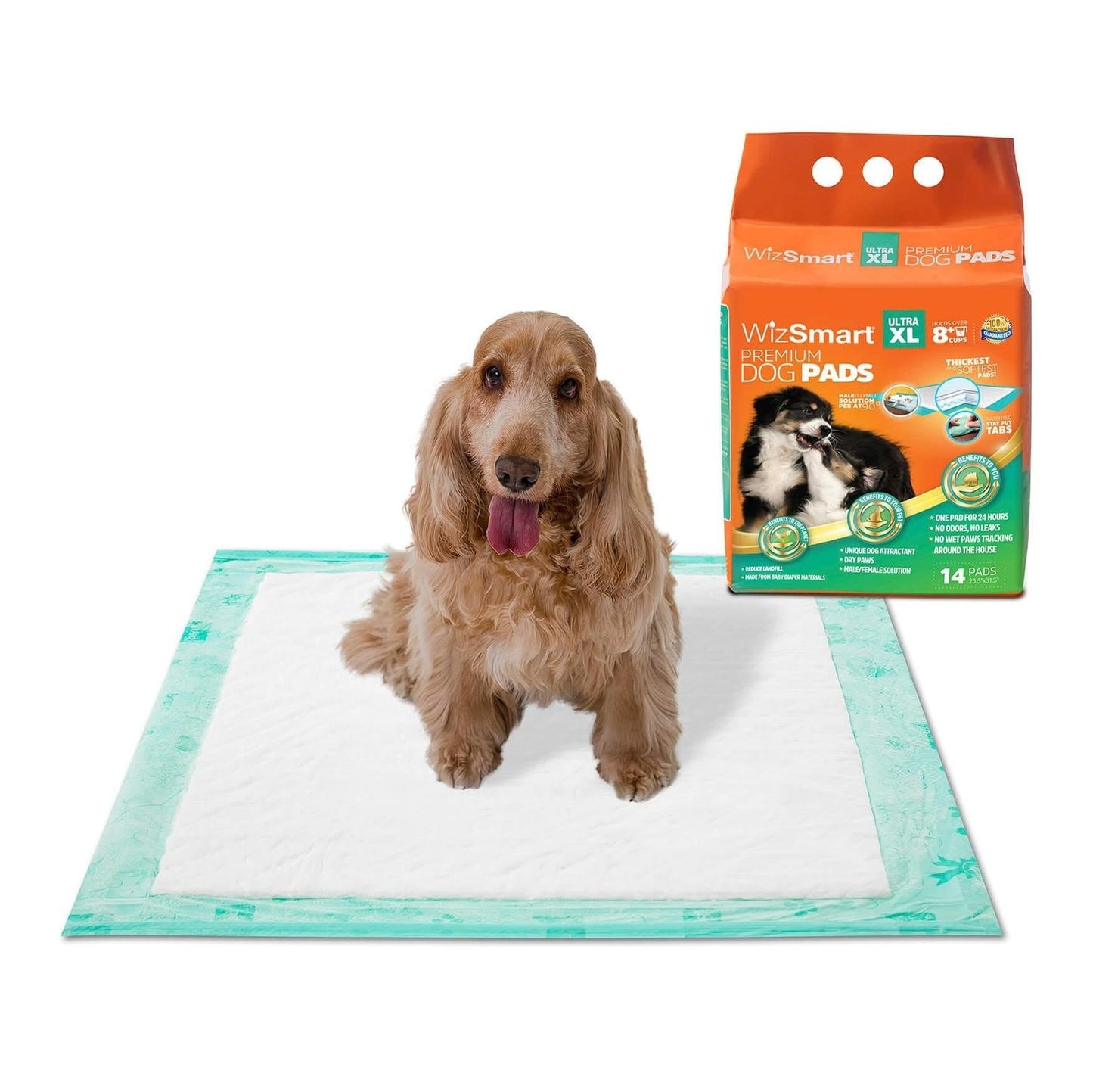 Wizsmart Dog and Puppy Training Pads Ultra XL