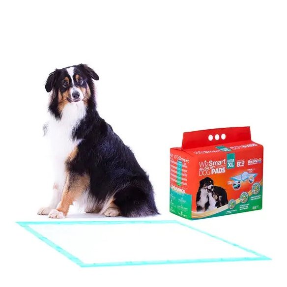 Wizsmart Dog and Puppy Training Pads Ultra XL