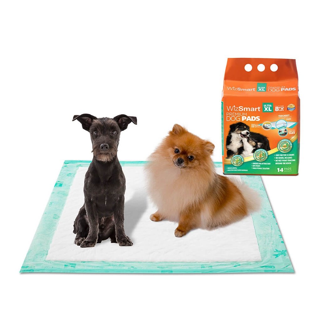 Wizsmart Dog and Puppy Training Pads Ultra XL