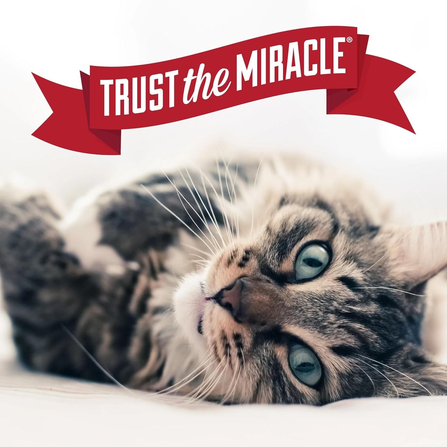 Nature's Miracle Advance Platinum Cat Block Spray