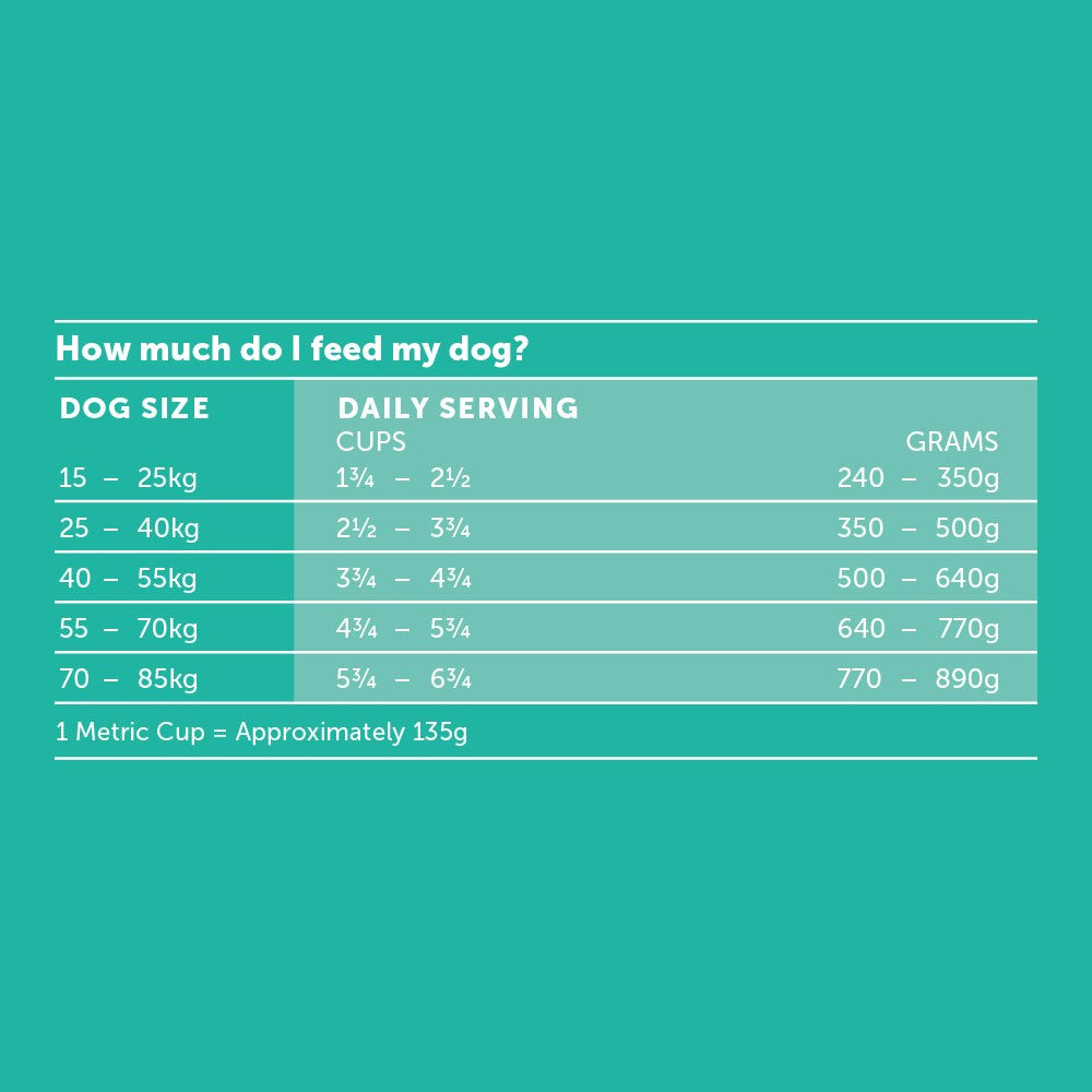 Glow Adult Large Breed Australian Chicken Dry Dog Food