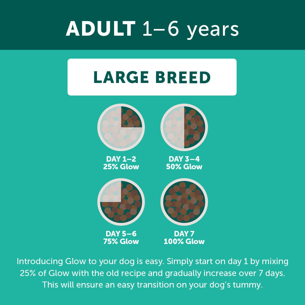 Glow Adult Large Breed Australian Chicken Dry Dog Food