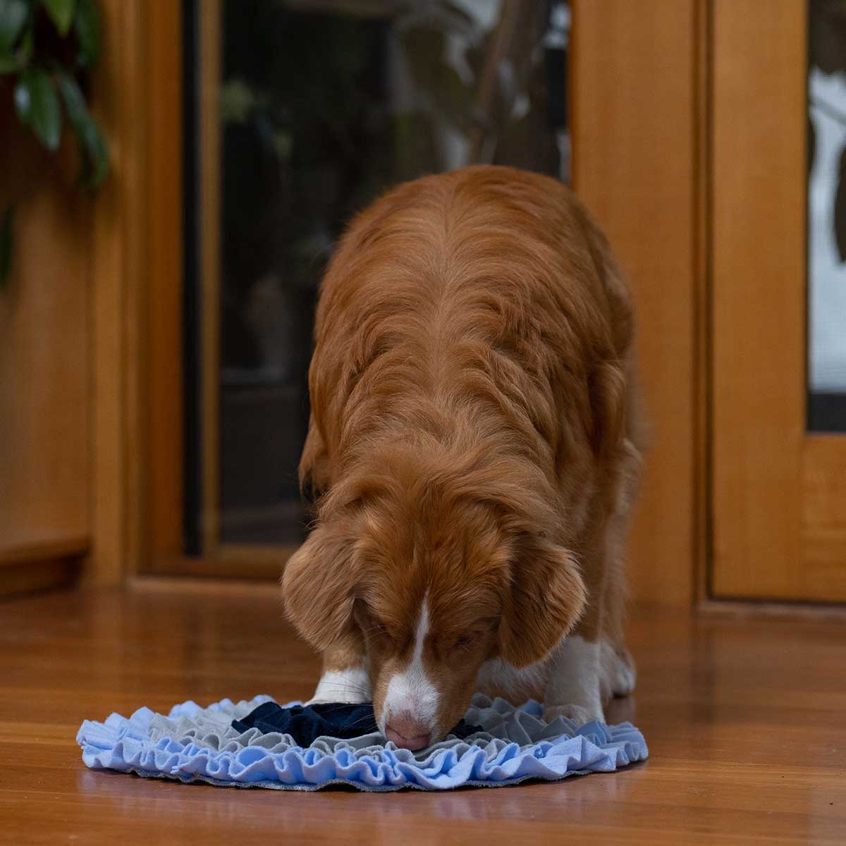 Buddy & Belle Round Snuffle Mat Navy Mist