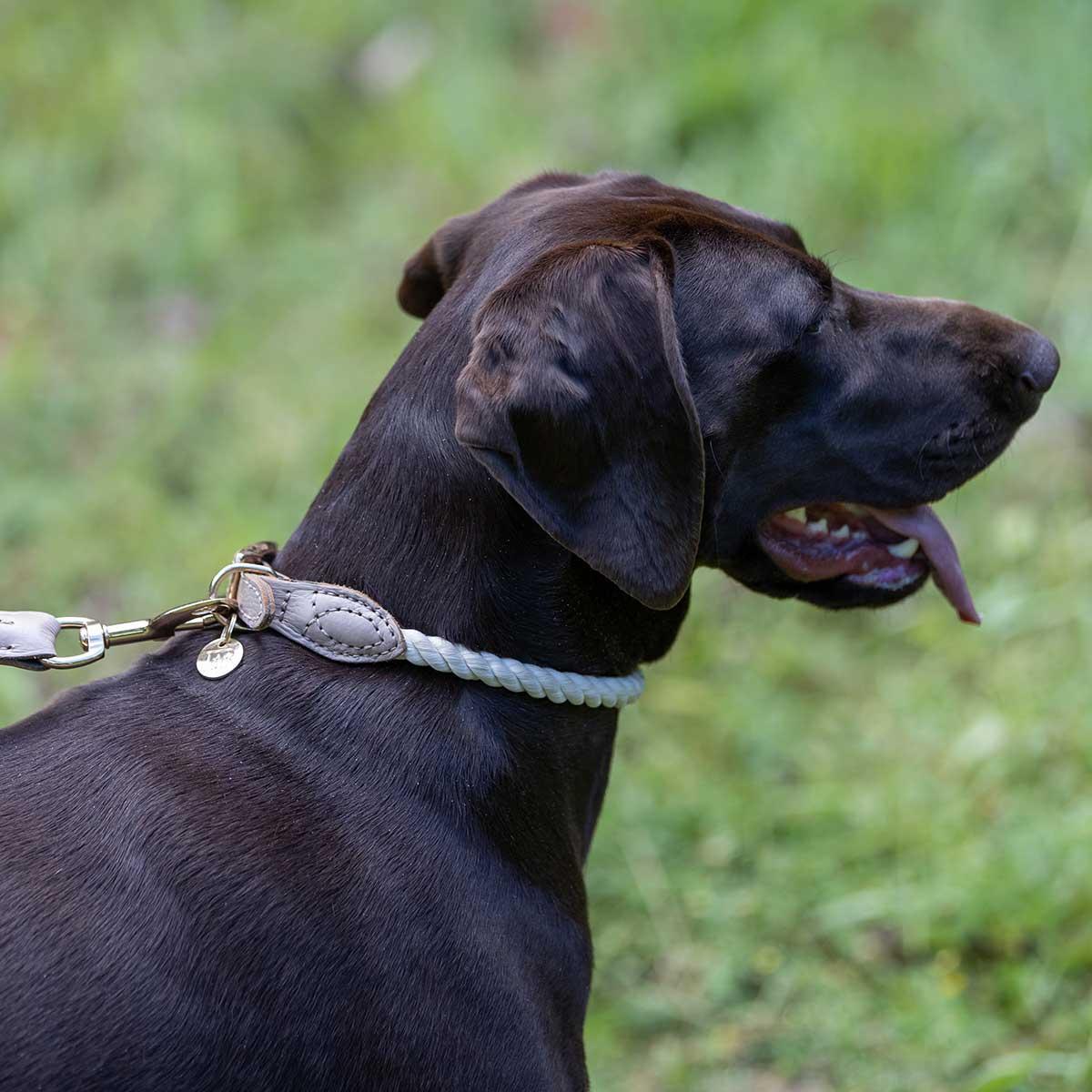 Buddy & Belle Leather/Rope Collar Mocha