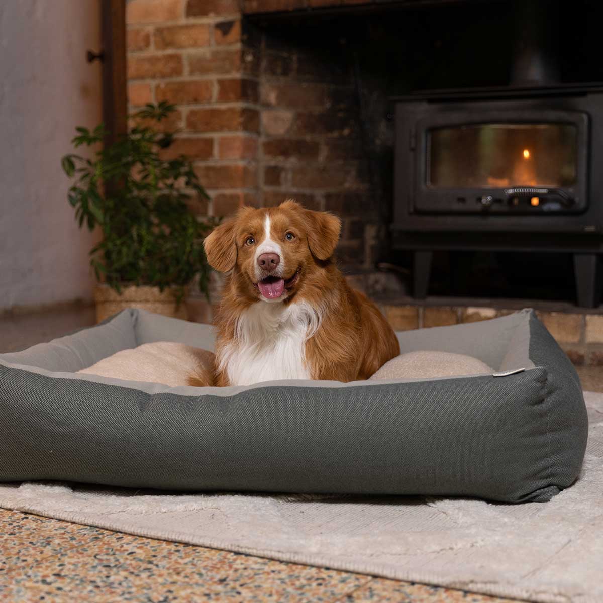 Buddy & Belle Reversible Bolster Dog Bed Moss