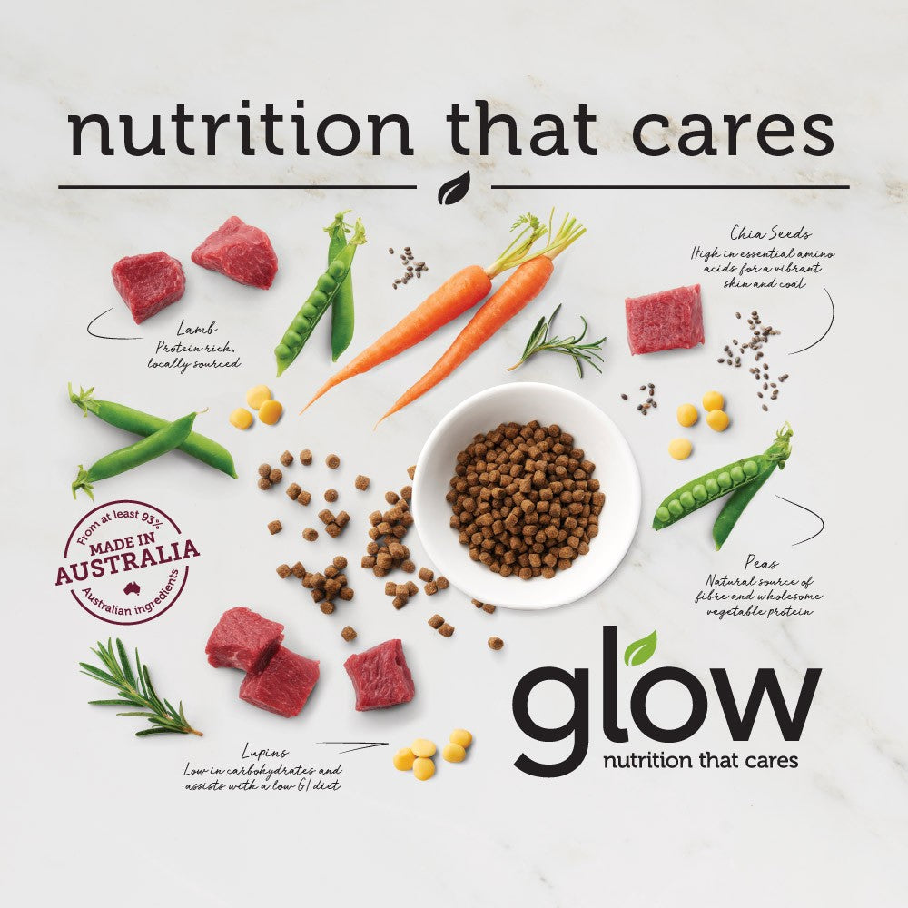 Glow Australian Lamb Adult Dry Dog Food