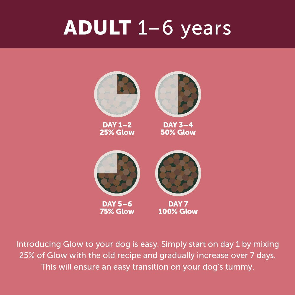 Glow Australian Lamb Adult Dry Dog Food