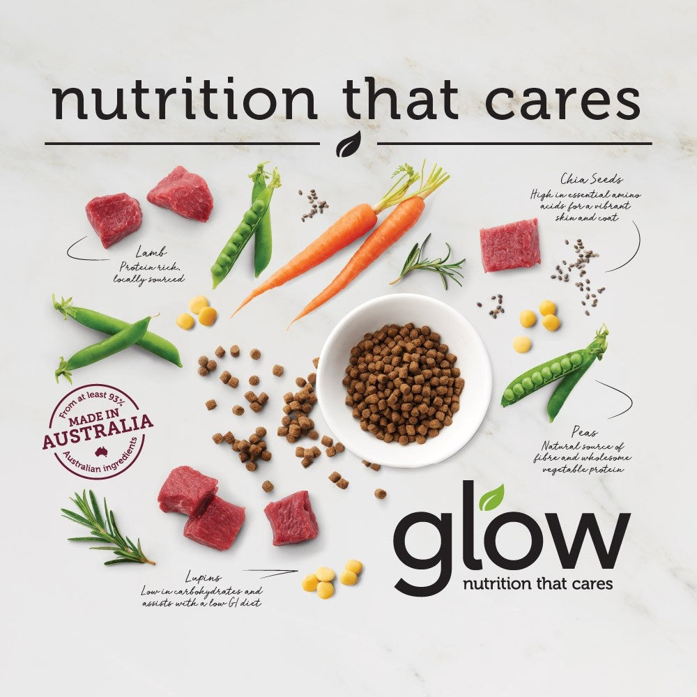 Glow Adult Australian Lamb Dry Dog Food