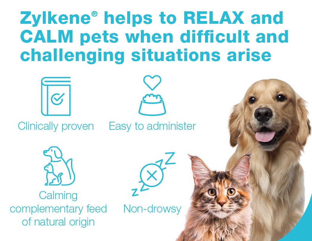 ZYLKENE Chews Puppies & Dogs 15-60kgs 450mg