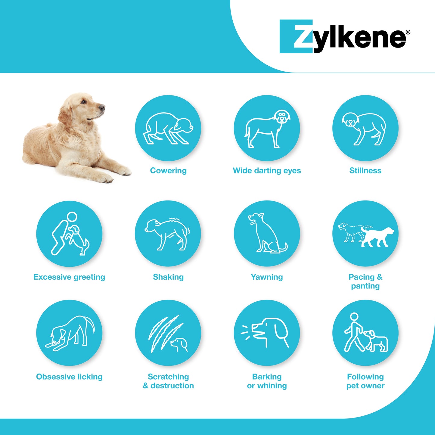 ZYLKENE Capsules 75mg Cats & Dogs under 10kg 30pk
