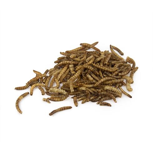 Bainbridge Dried Mealworms