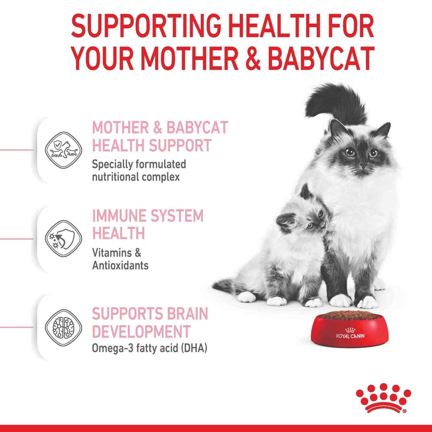 Royal Canin Mother And Baby Cat Kitten Dry Cat Food