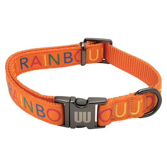 Double Rainbouu Logo Collar Orange