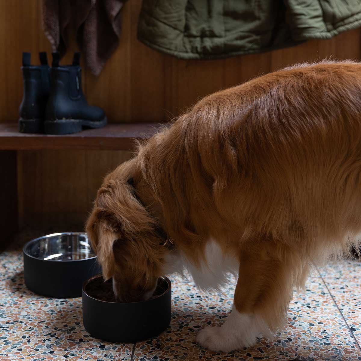 Buddy & Belle Round Double Wall Dog Bowl Matte Black